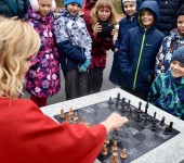 Клин Сокольская шахматы