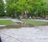 парк Толстого лужа